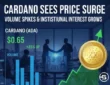 Cardano Sees Price Surge as Volume Spikes and Institutional Interest Grows