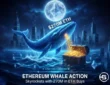 Ethereum Whale Action Skyrockets with 270M in ETH Buys and Long-Term Positioning